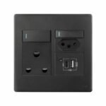 Double Plug USB C Type Black